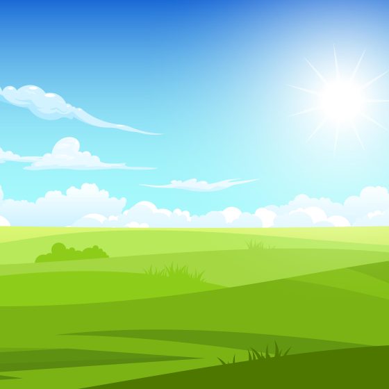 Buy Land in Ukraine as Investor