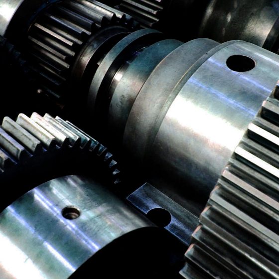 The Introduction of the German Plant Into the Market of Ukraine