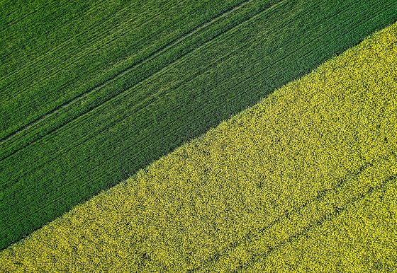 Agriculture Investment in Ukraine