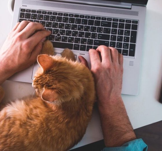 Opening Locations for Remote Work in the Capital of Ukraine