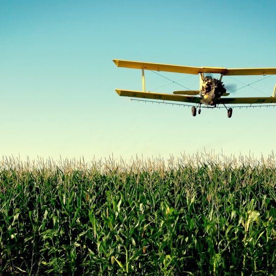 Private Airport: Create Jobs in Ukraine