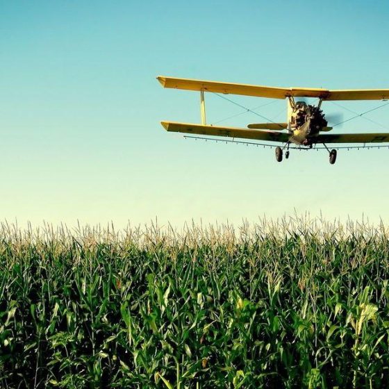 295 Hectares of Agricultural Land Were Cultivated by Aircraft