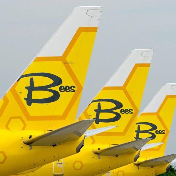 New Destination of “Bees Airline”