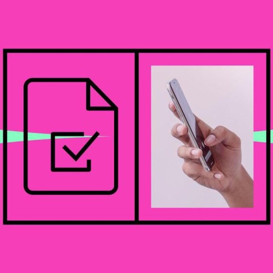 Online Elections in Ukraine