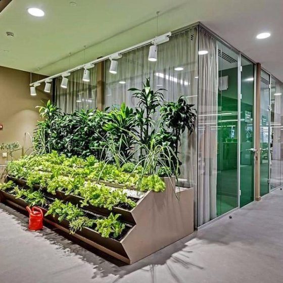 Natural Environment in Ukrainian Offices
