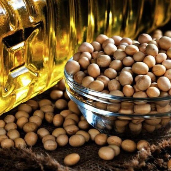 List of Largest Ukrainian Producers of Soy Oil