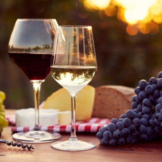 Reasons to Buy a Vineyard in Ukraine