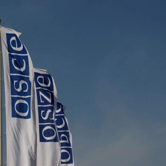 The Russians Killed an OSCE Employee