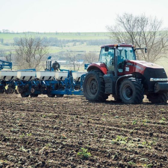Kherson Region Solves Seeding Problem