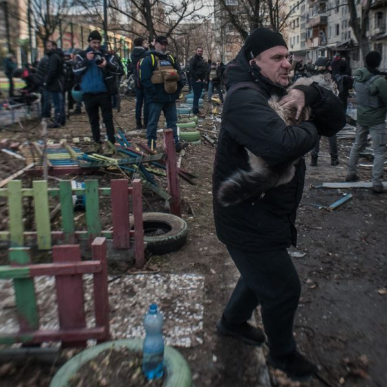 USA: Violence Must Stop