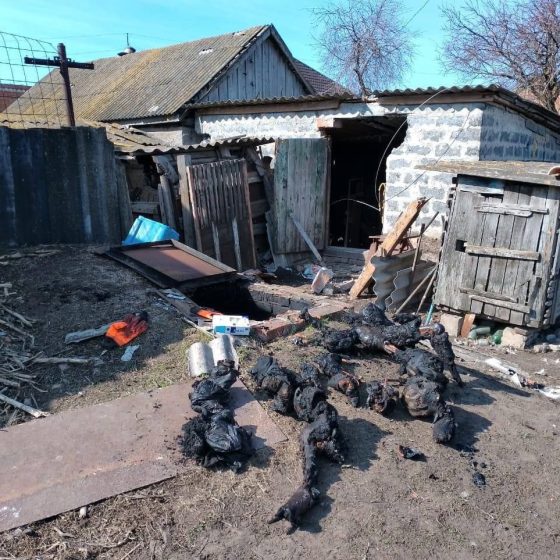 A Buried Alive family Found in Kharkiv Region