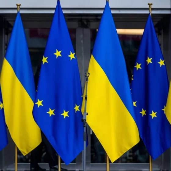 EU Political Assistance