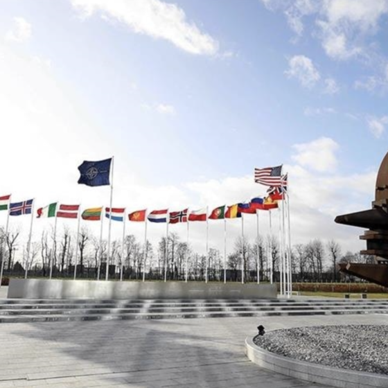 Sweden and Finland Plan to Apply to NATO in May