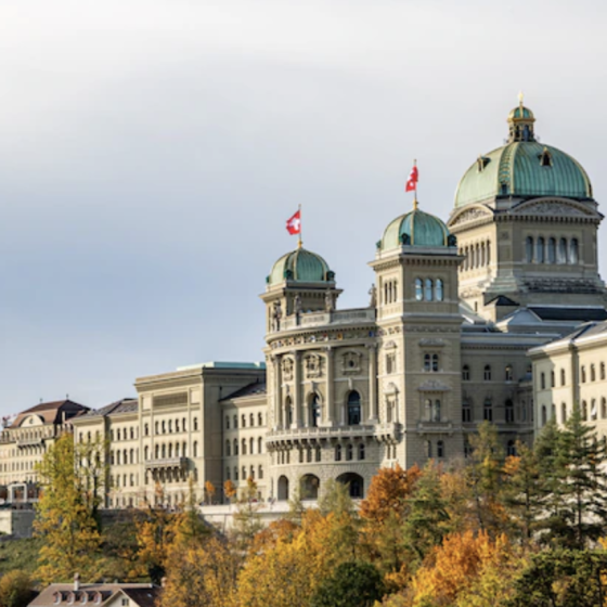 A Delegation From Switzerland Is Going to Ukraine