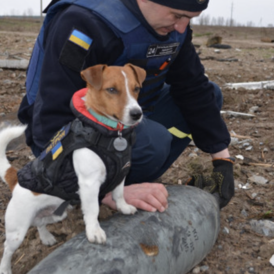 Ukraine — One of the Most Mined Countries in the World