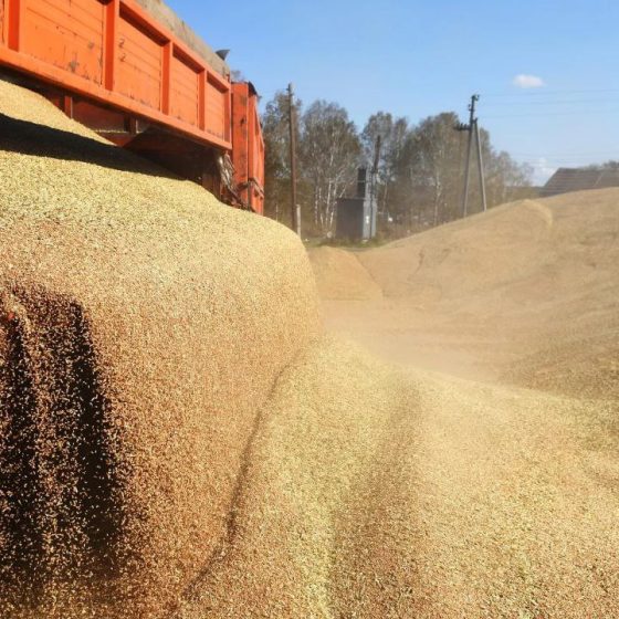Saving From Hunger Instead of Sanctions