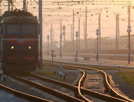 Ukraine Knows How to Overcome the Food Crisis