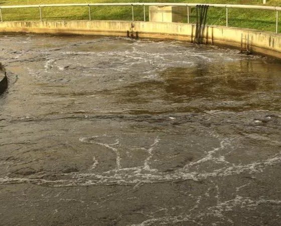 Russian Feces in the Azov Sea