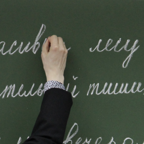 Russians Killed a Russian Language Teacher in Mykolaiv Region
