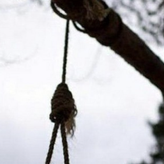 Hung Like Linen