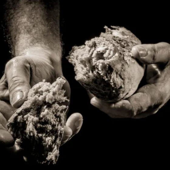 The World Famine Will Begin in 2 Months