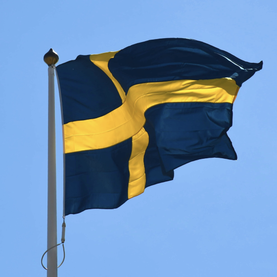 Military Assistance to Ukraine From Sweden