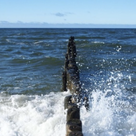 How Germany and Holland Will Do Without Russian Gas