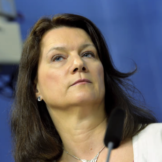 €95 Mln of Military Aid from Sweden