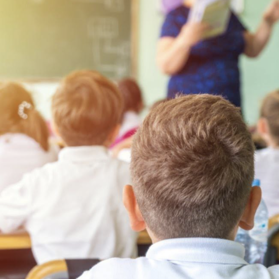 Organization of the School Process in Ukraine