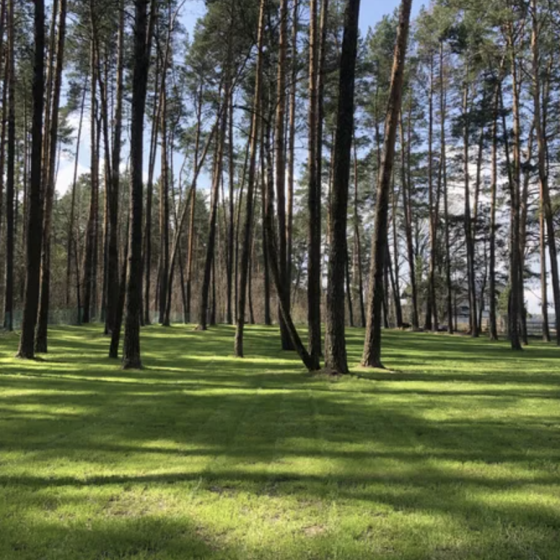 “Starlink Ukraine” — Licensed Operator of Ukraine