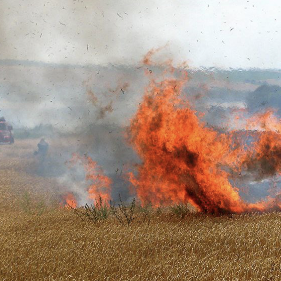 Russian Burns Ukrainian Fields