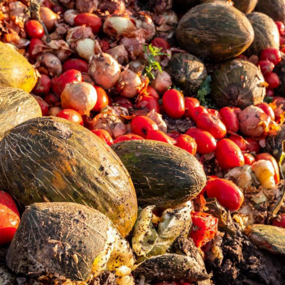Russians Throw Out Ukrainian Food 