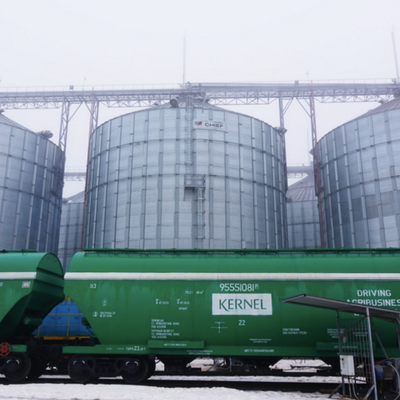 The US and Europe Work on Logistics to Export Ukrainian Grain