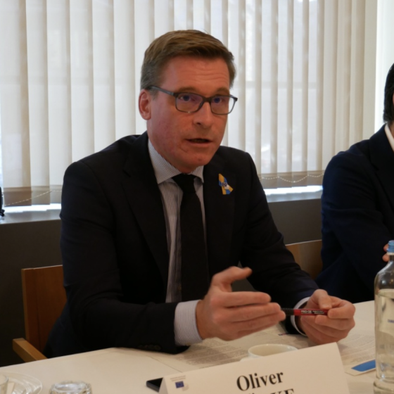 European Socio-Economic Committee for Ukraine