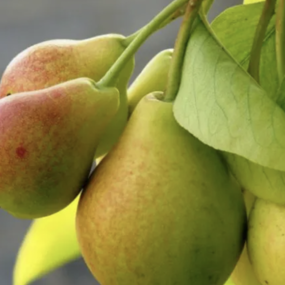 The Agrosector of Ukraine Lost $23.3 Bln