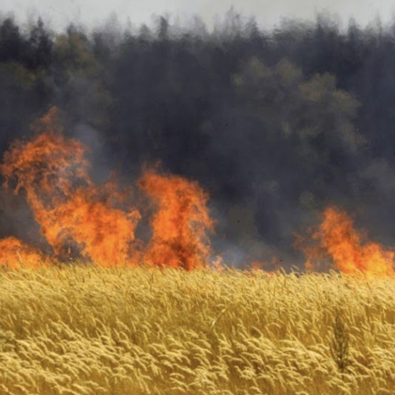 Russians Burn What They Can’t Steal