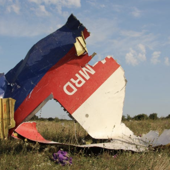 PACE Admits: MH17 “Malaysia Airlines” Shot Down by Russia