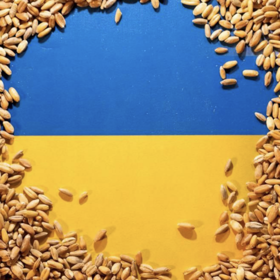 A Ship With Stolen Ukrainian Grain Entered a Port of Turkey