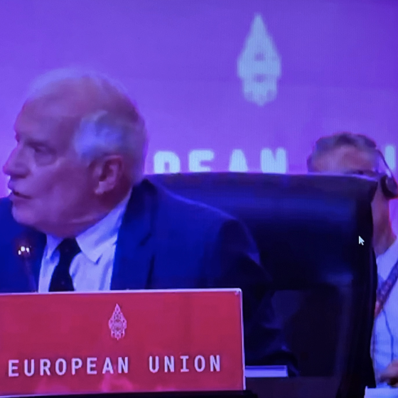 Josep Borrell G20 Statements