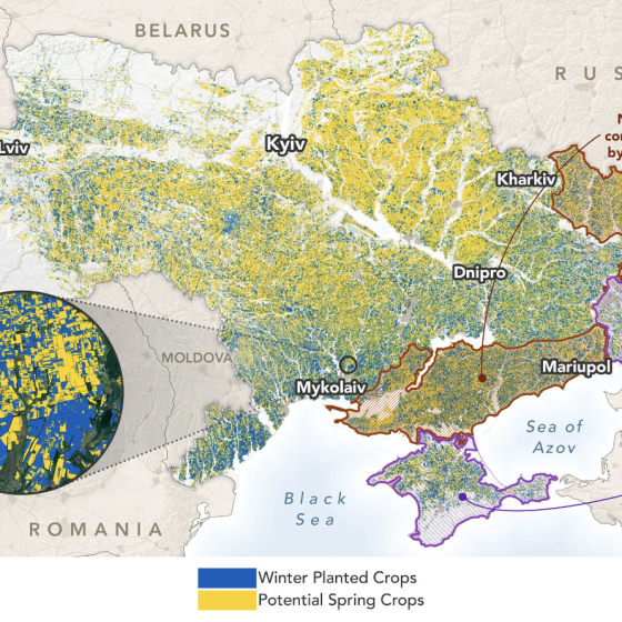 Russians Occupied 22% of Arable Lands of Ukraine