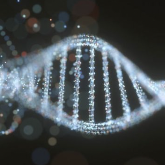DNA-Base of Ukrainian Military and Law Enforcement