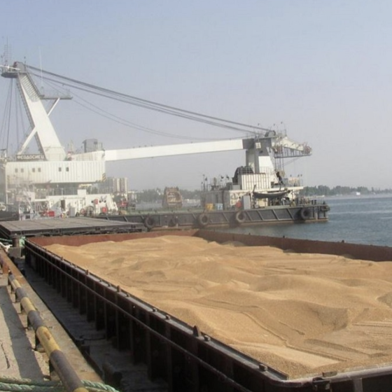 Agreement on the Export of Grain From Ukraine Has Been Signed