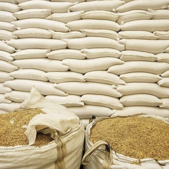 US Extra Plan for Ukrainian Grain Export