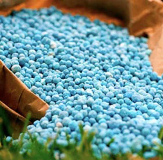 Cancellation of Fertilizer and Rye Export Quotas in Ukraine