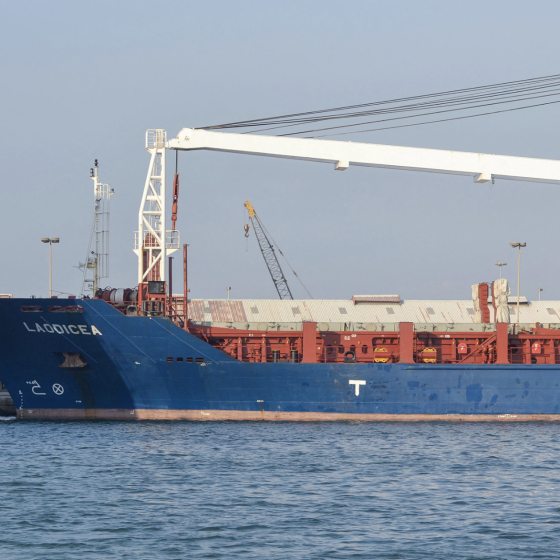 Lebanon Detains Vessel With Grain Stolen From Ukraine