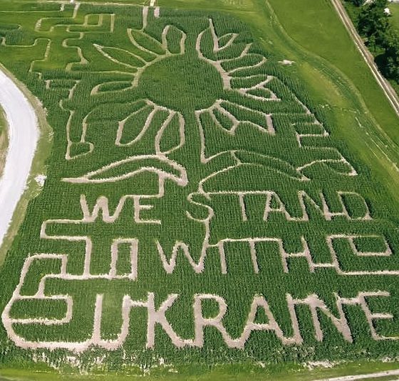 Farmers From New York Dedicated to Ukraine a Pattern in a Cornfield 