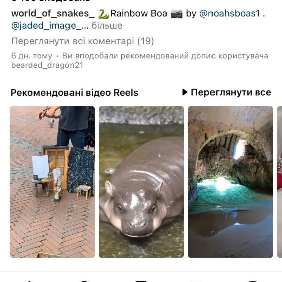 “Instagram Reels” and “Insta Music” Finally in Ukraine