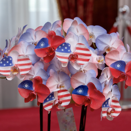 Nancy Pelosi Completed Her Visit to Taiwan