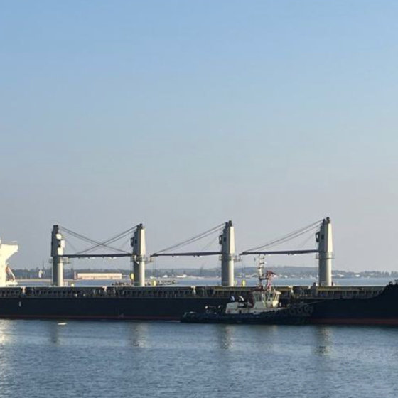 3 Ships With Ukrainian Agroproduct Left the Black Sea Ports