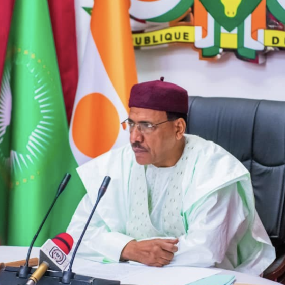 First Dialogue of Leaders of Ukraine and Niger